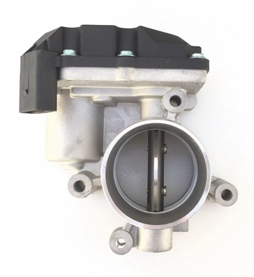 Throttle Body (TOP01580003)