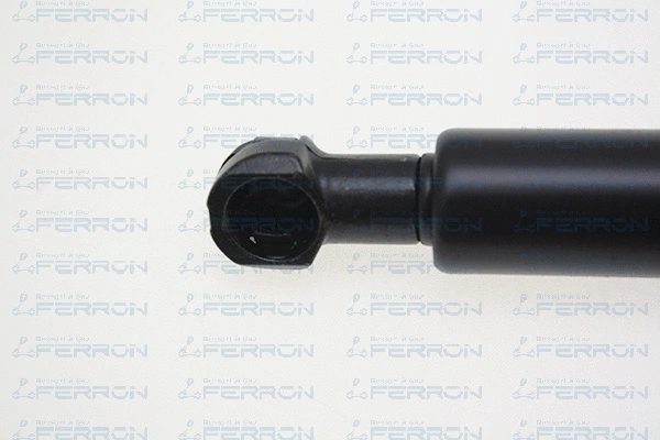 Gas Spring, boot/cargo area