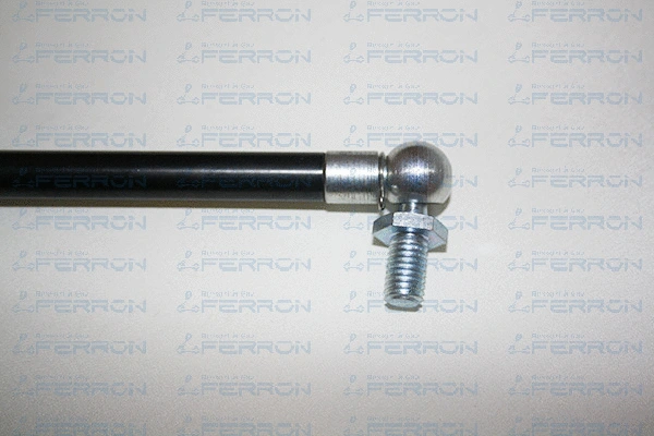 Gas Spring, boot/cargo area