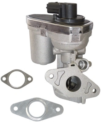 EGR Valve (TOP11450031)