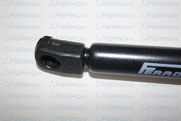Gas Spring, boot/cargo area