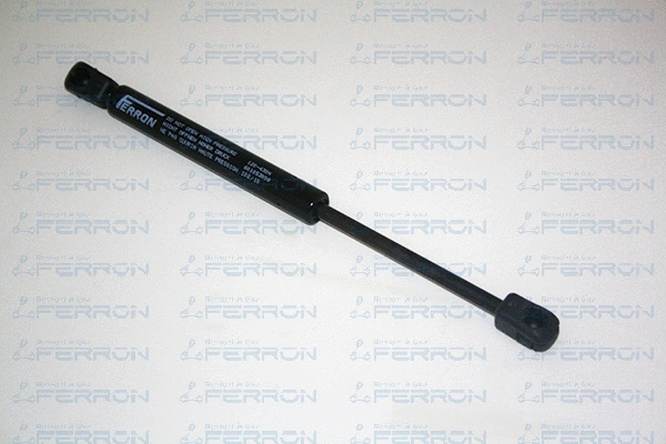 Gas Spring, boot/cargo area (120)