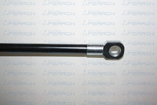 Gas Spring, boot/cargo area