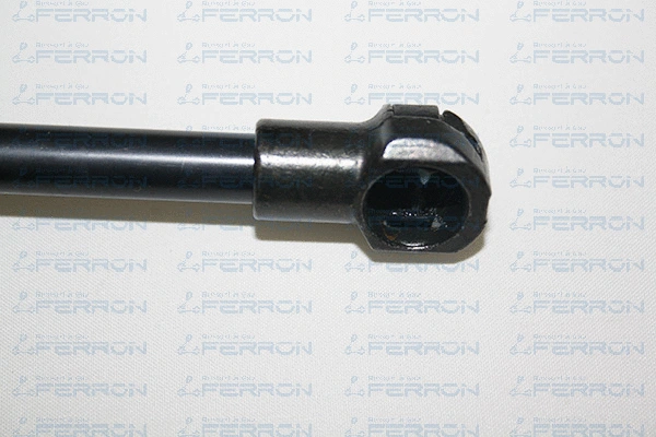 Gas Spring, boot/cargo area