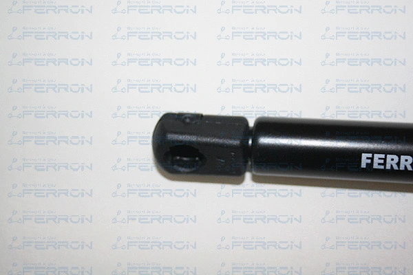 Gas Spring, boot/cargo area