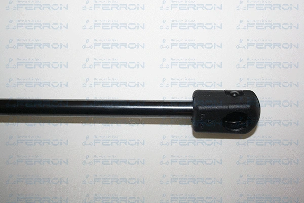 Gas Spring, boot/cargo area