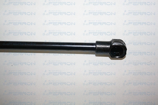 Gas Spring, boot/cargo area