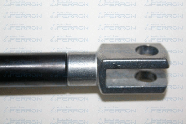 Gas Spring, boot/cargo area