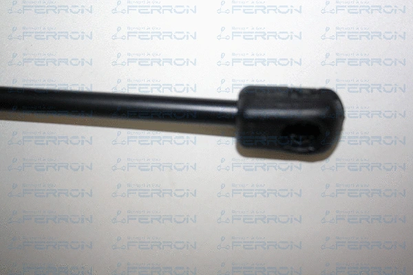 Gas Spring, boot/cargo area