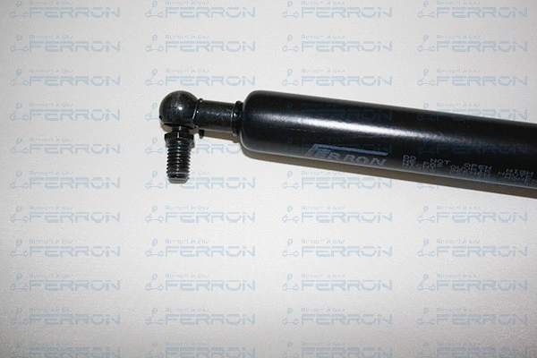 Gas Spring, boot/cargo area