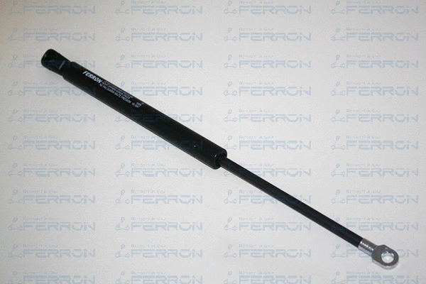 Gas Spring, boot/cargo area (79)