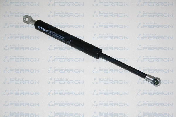 Gas Spring, bonnet (98)