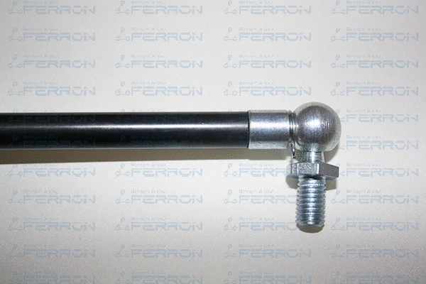 Gas Spring, boot/cargo area