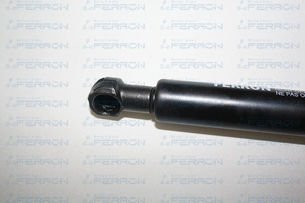 Gas Spring, boot/cargo area