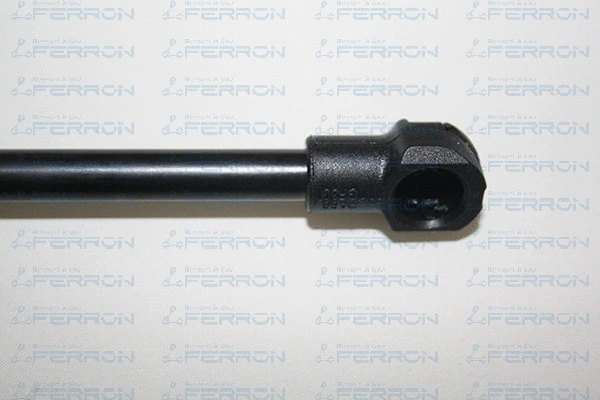 Gas Spring, boot/cargo area
