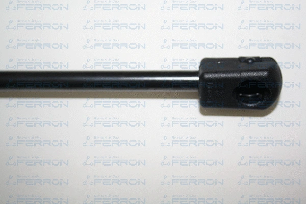 Gas Spring, boot/cargo area