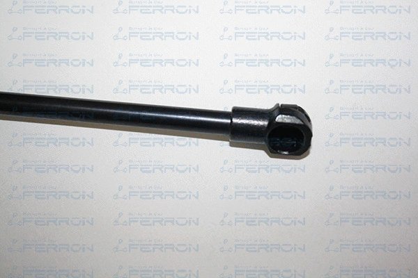 Gas Spring, boot/cargo area