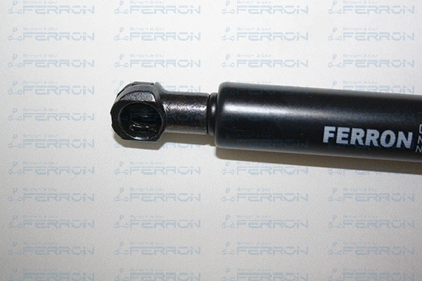 Gas Spring, boot/cargo area
