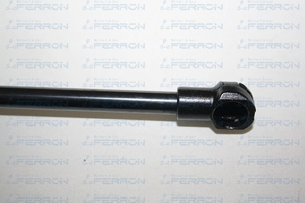 Gas Spring, boot/cargo area