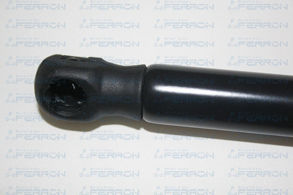 Gas Spring, boot/cargo area