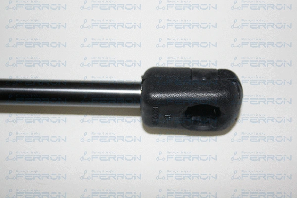 Gas Spring, boot/cargo area