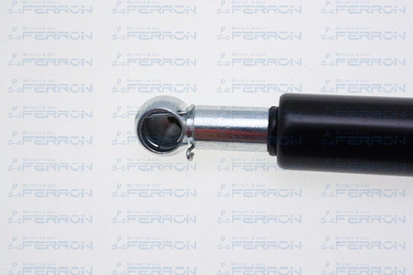 Gas Spring, boot/cargo area