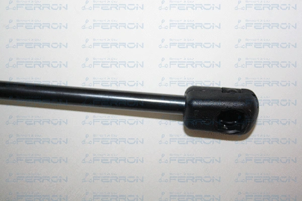 Gas Spring, boot/cargo area