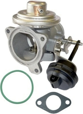 EGR Valve (TOP11450028)