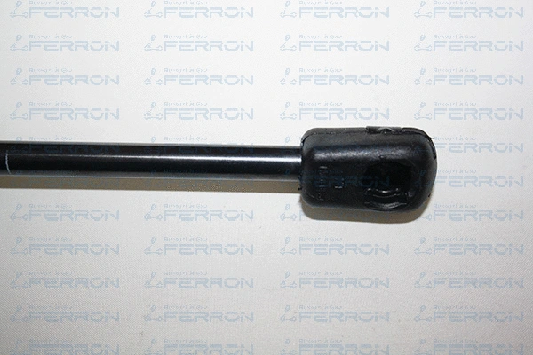 Gas Spring, boot/cargo area