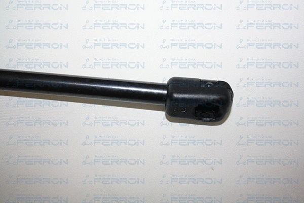 Gas Spring, boot/cargo area