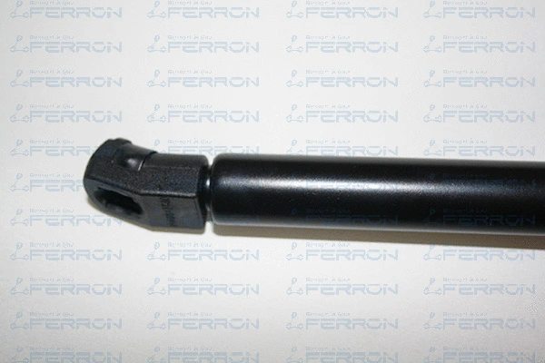 Gas Spring, bonnet