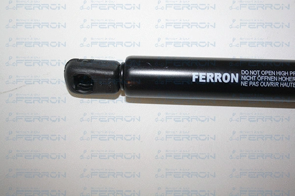 Gas Spring, boot/cargo area