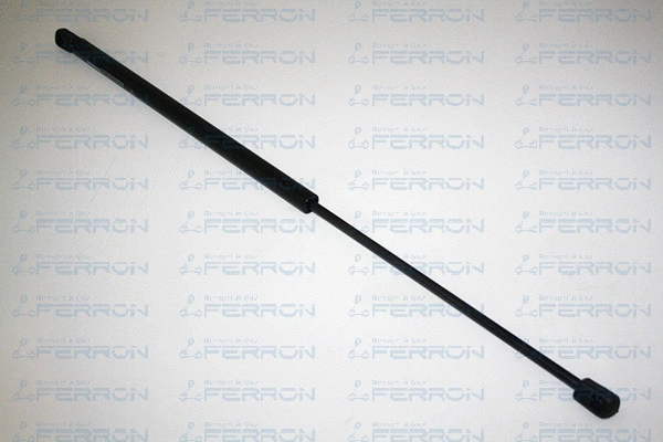 Gas Spring, boot/cargo area (21)