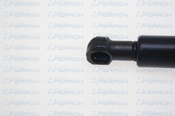 Gas Spring, bonnet