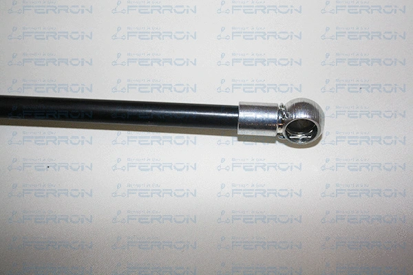 Gas Spring, bonnet
