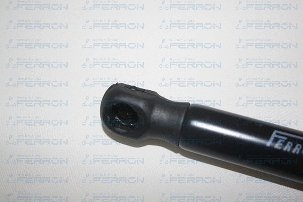 Gas Spring, boot/cargo area