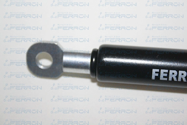Gas Spring, boot/cargo area