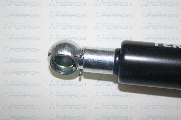 Gas Spring, bonnet