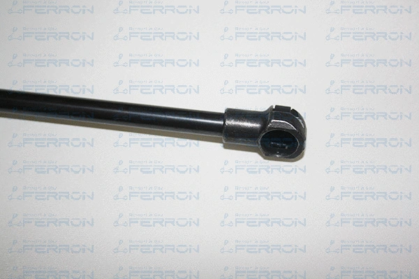 Gas Spring, boot/cargo area