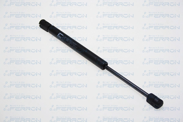 Gas Spring, bonnet (1604)