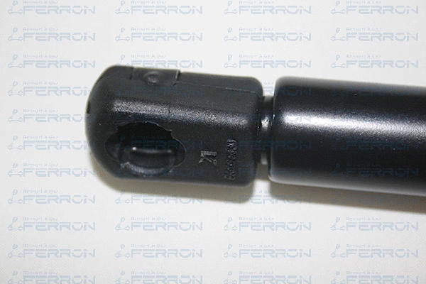Gas Spring, boot/cargo area
