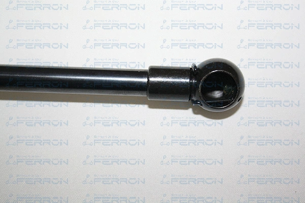 Gas Spring, boot/cargo area
