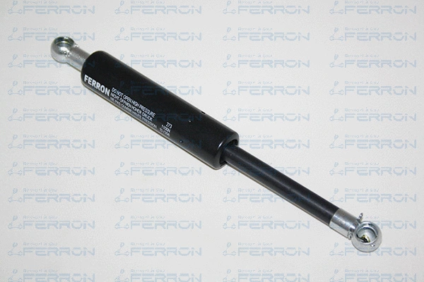 Gas Spring, bonnet (273)