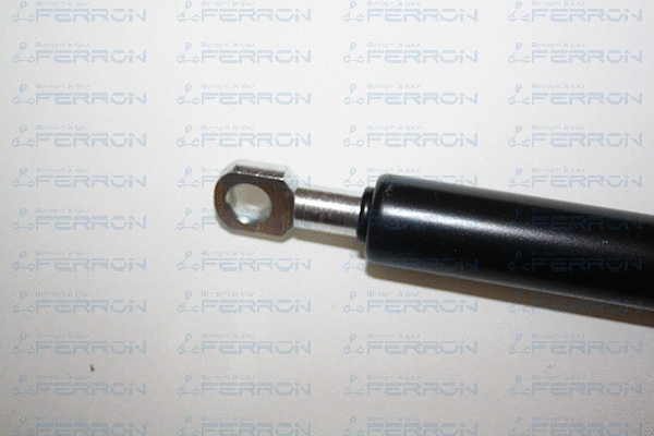 Gas Spring, boot/cargo area