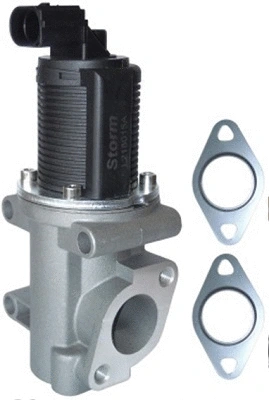 EGR Valve (TOP11450009)