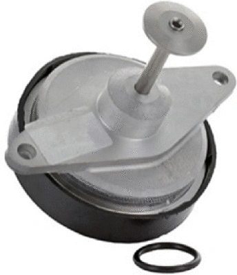 EGR Valve (TOP11450025)