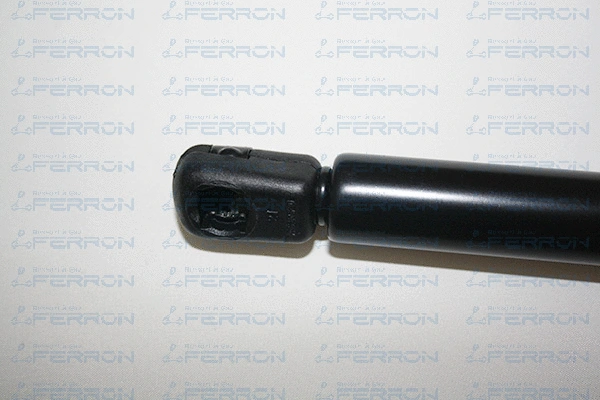 Gas Spring, boot/cargo area