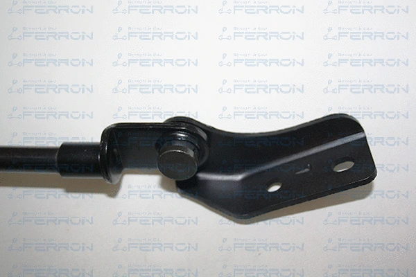 Gas Spring, boot/cargo area