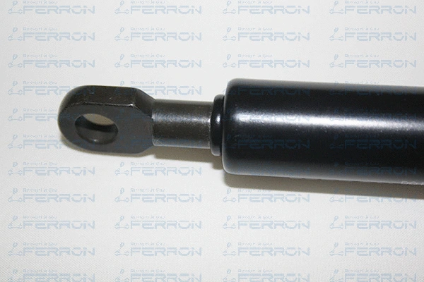 Gas Spring, bonnet