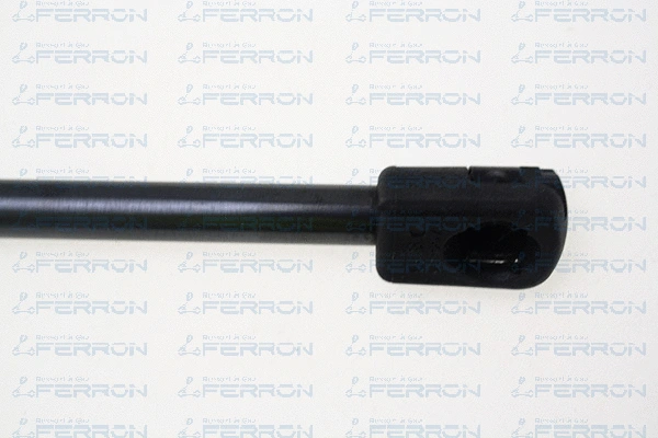 Gas Spring, boot/cargo area